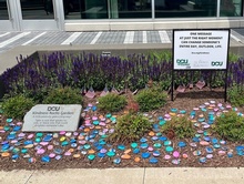 Kindness Rocks at the DCU Center!